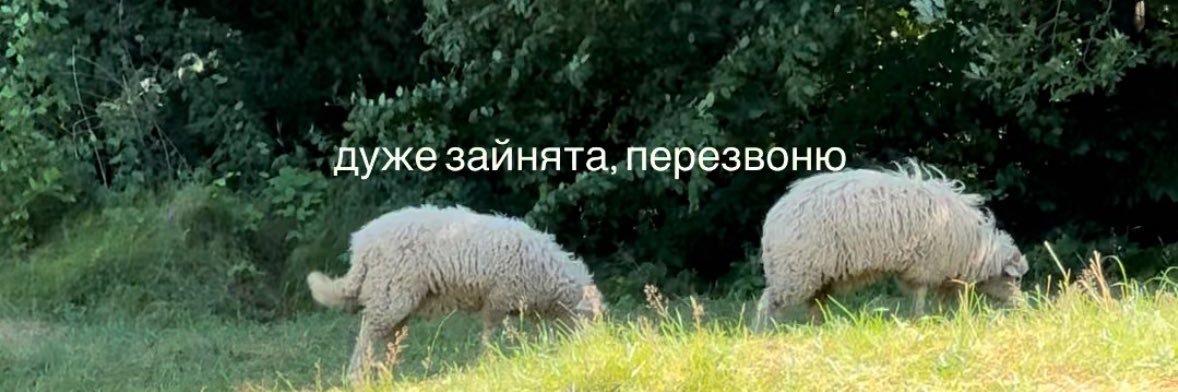 ayurhanova's profile banner image