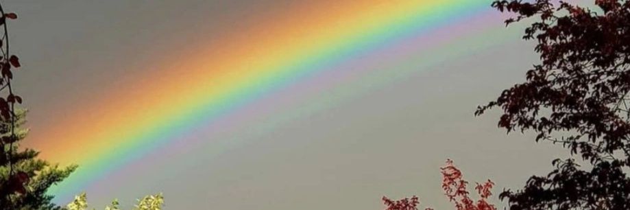 oshum's profile banner image