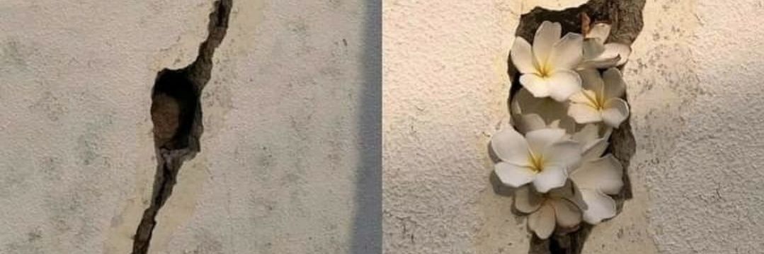 pietropaticcie's profile banner image