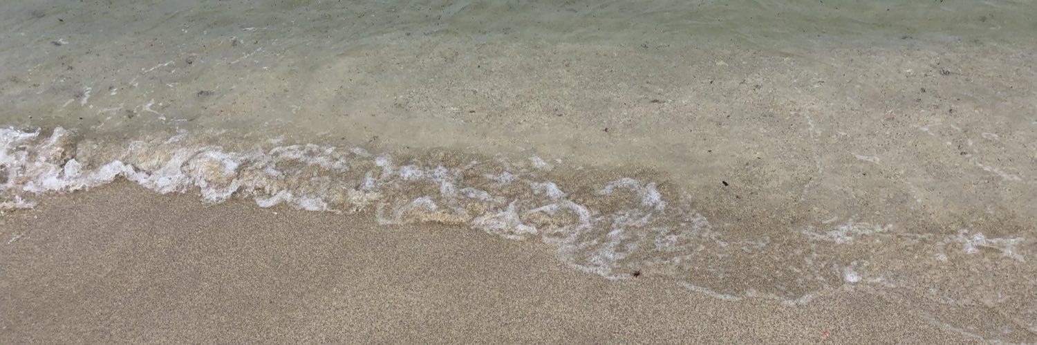 tafflove's profile banner image