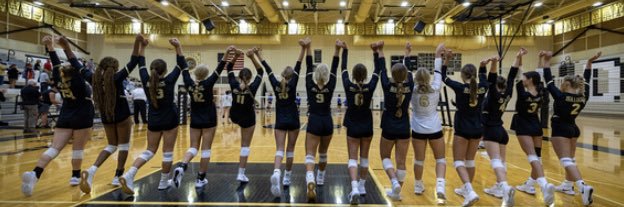 Lapel Volleyball banner