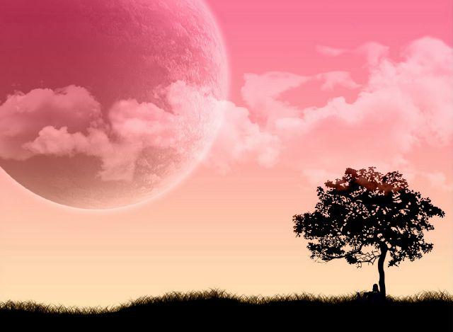 AnnaliaHrt's profile banner image