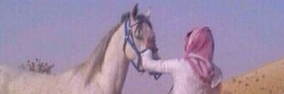 almrasl_w's profile banner image