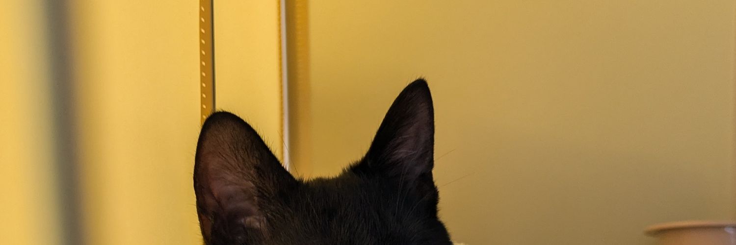 kiraaaaaa93's profile banner image