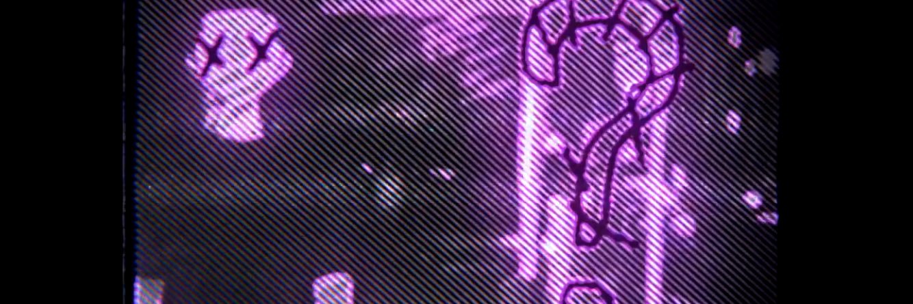 seth banner