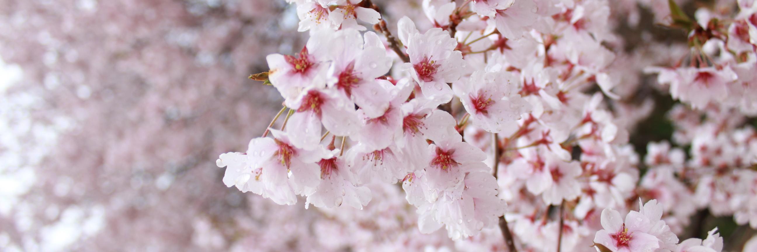 mikata34's profile banner image