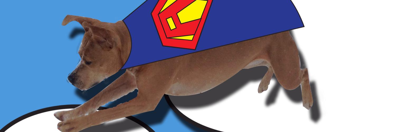 Alexisthefoster's profile banner image