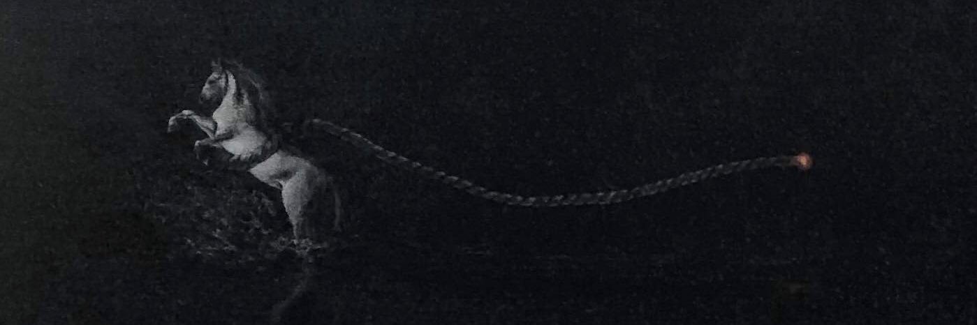 gallerysuchi's profile banner image