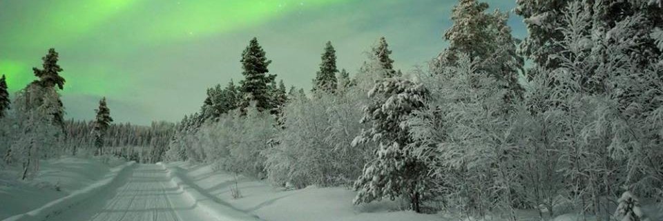 YorkshireLass88 🇬🇧🇬🇧🇬🇧🇬🇧🇬🇧🇬🇧 banner