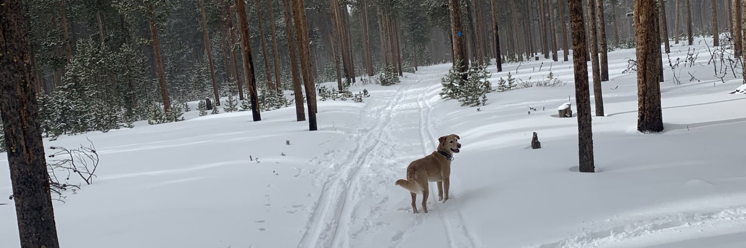 GulleKyle's profile banner image