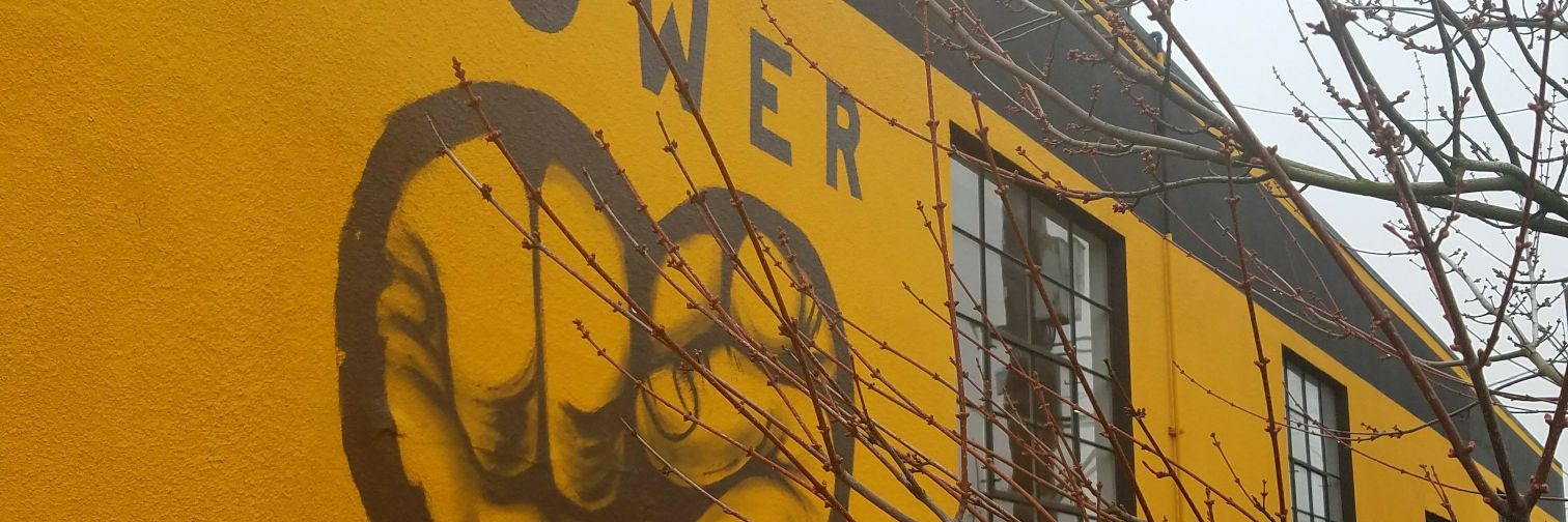 AceWsu's profile banner image