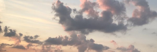 salbs___ Profile Banner