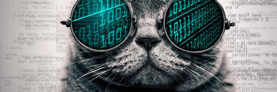 tdraganov's profile banner image