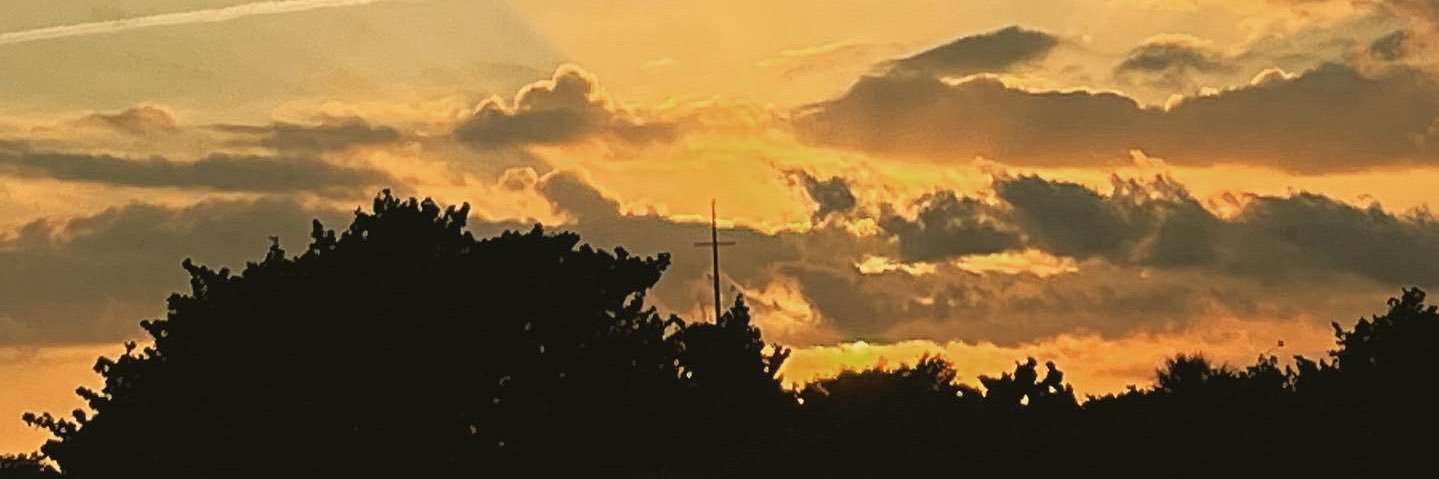 gabydesari's profile banner image