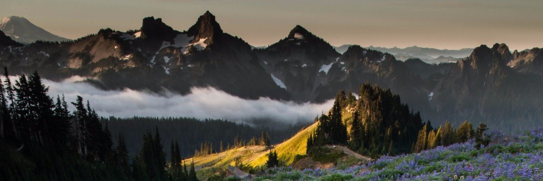 Grete Porteous, MD banner