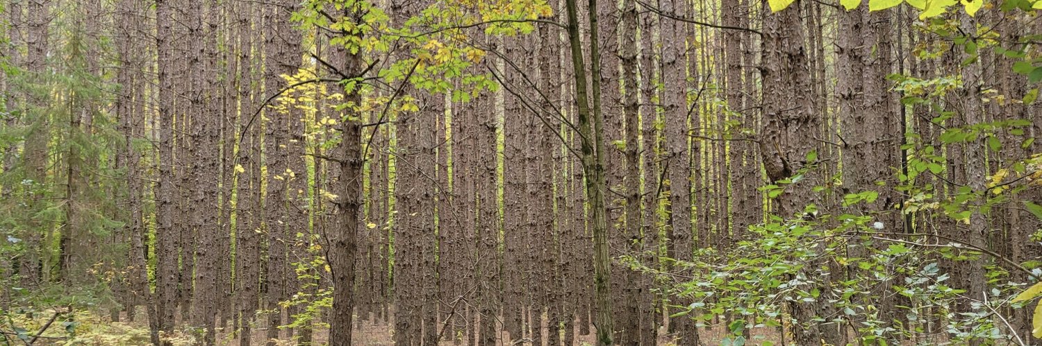 Susan A 🇨🇦 banner