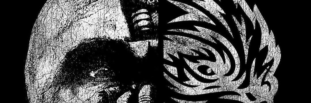 Mfla1234's profile banner image