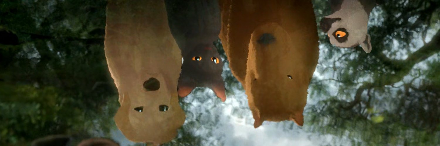 BrunoAssiz's profile banner image