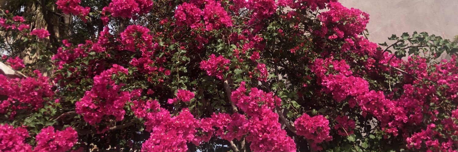 _boiraa_'s profile banner image