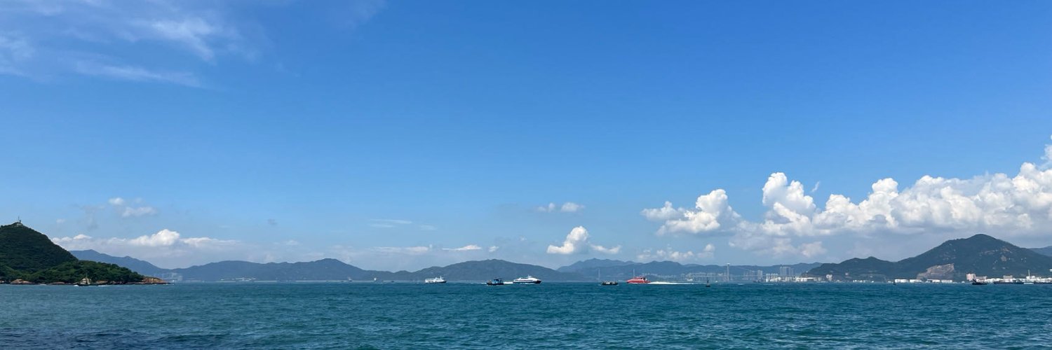 Lei Li's banner