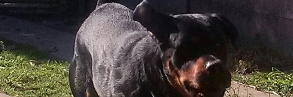 MartinDavio's profile banner image