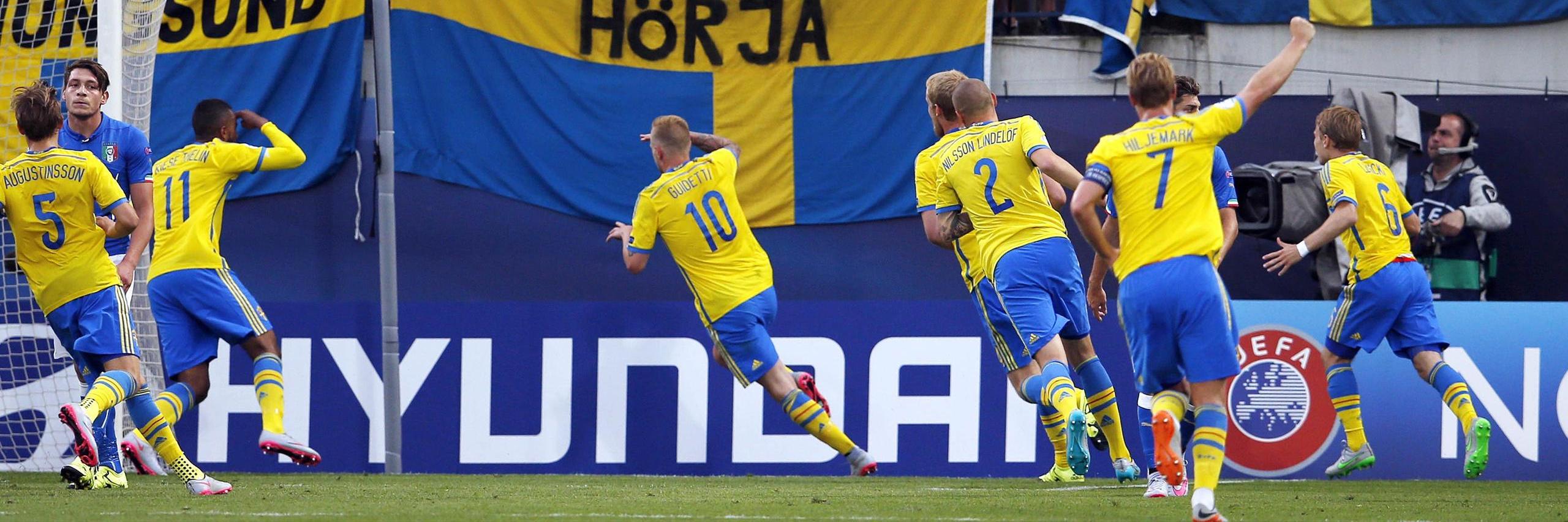 🇸🇪 banner