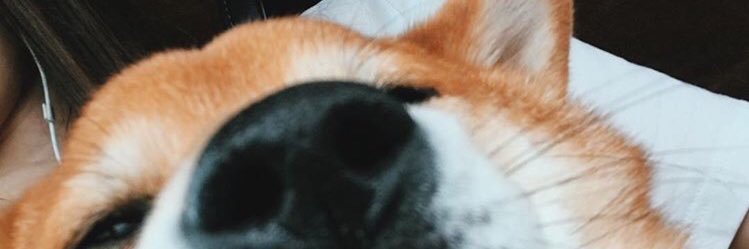 goodtanch's profile banner image