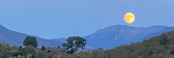 secondfloor_fet Profile Banner