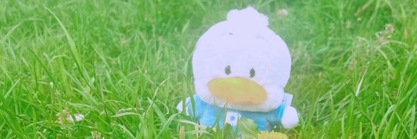 okananami773 Profile Banner