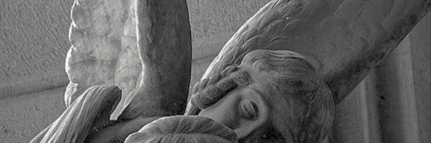 delibalcis's profile banner image