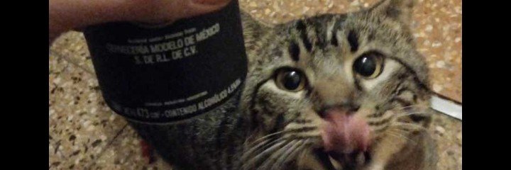 resualucio's profile banner image