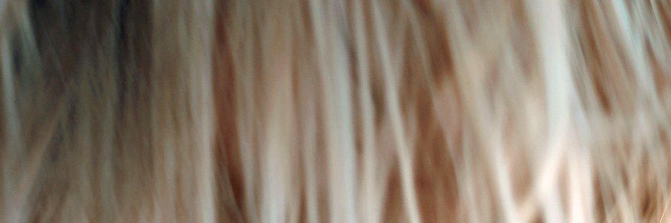 bsrealityfilter's profile banner image