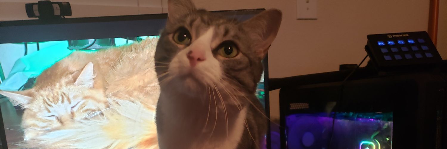 TheCourtedLady's profile banner image