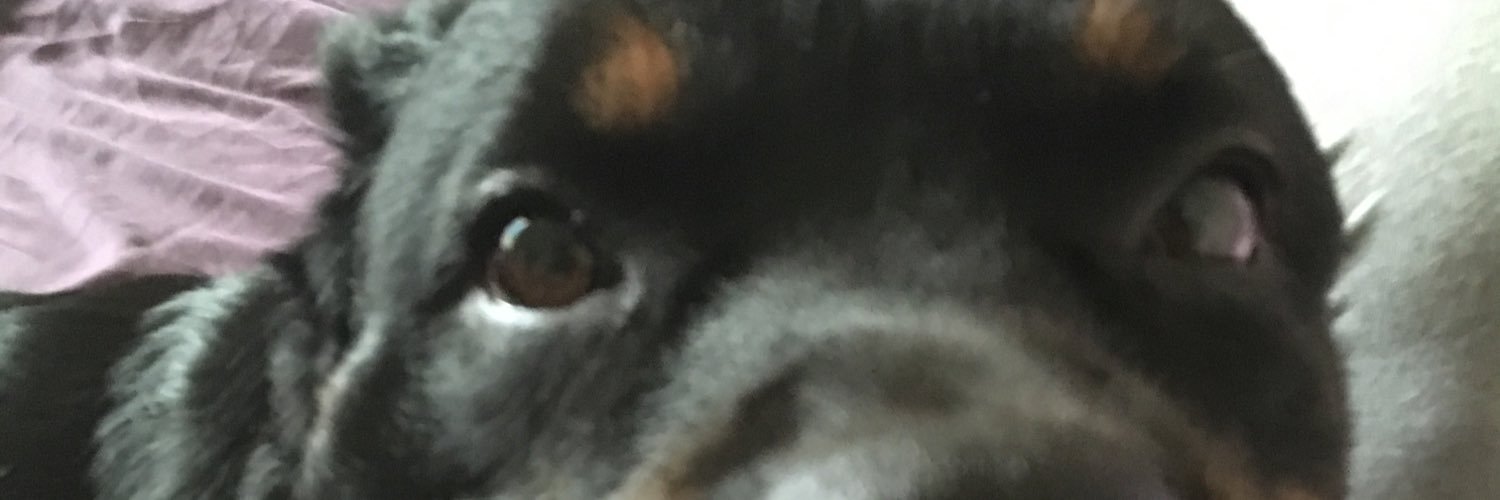 ThatKidCurly's profile banner image