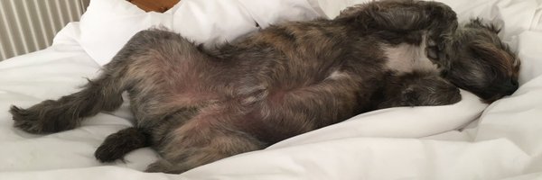 janetgcleaves Profile Banner