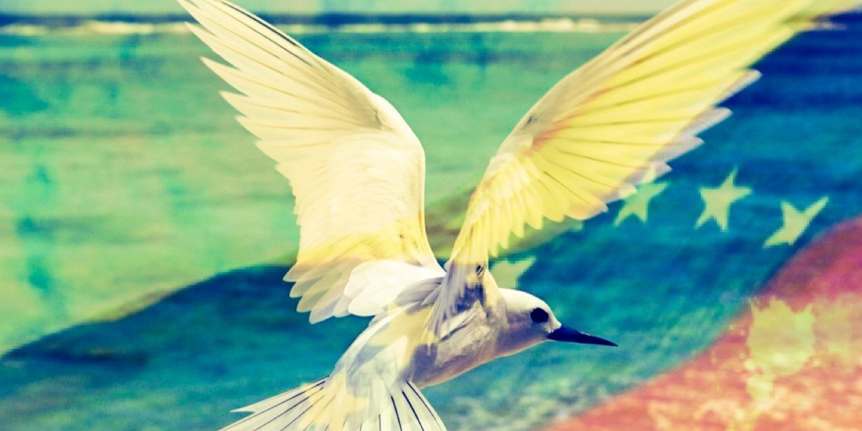 Marygabbie's profile banner image
