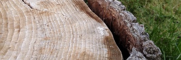 naidrawalls Profile Banner