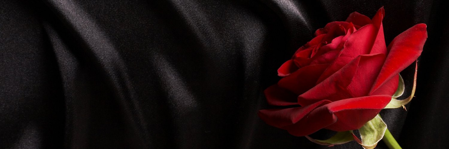 Alaa__Afify's profile banner image