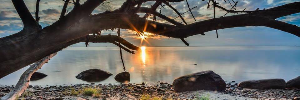basia_levandov's profile banner image