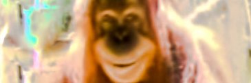 certainlysrs's profile banner image