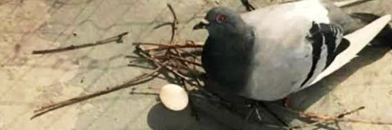 GUY_P_76's profile banner image