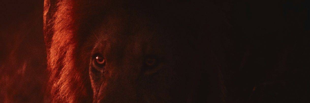 xxel83's profile banner image