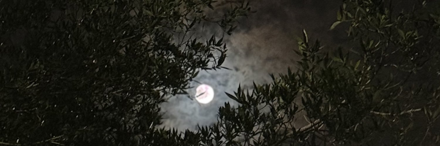 alsarrai_'s profile banner image