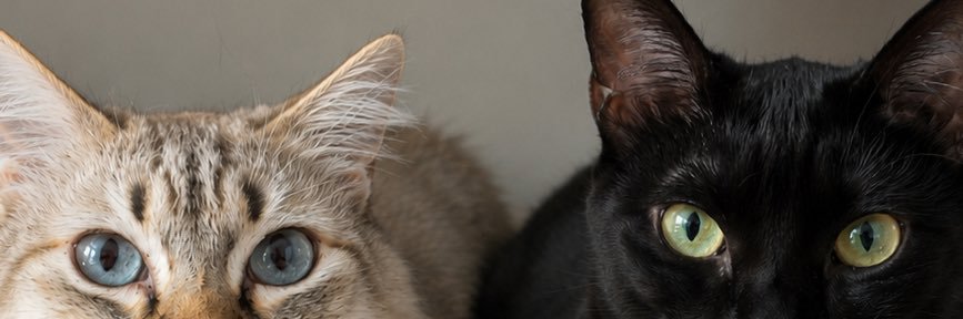 barbzworlddd's profile banner image