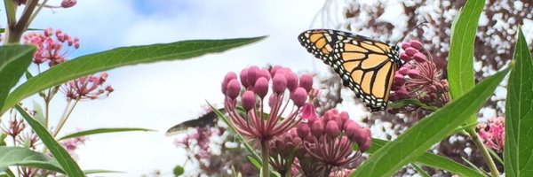 fluttrbyproject Profile Banner