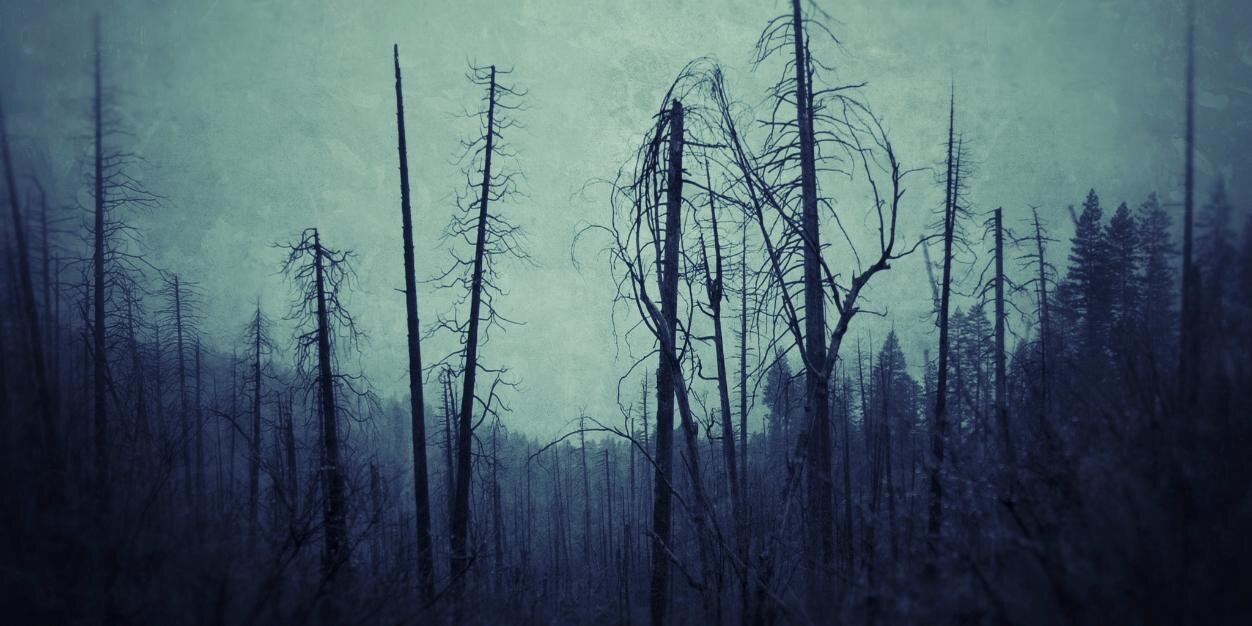 ericlphoto's profile banner image