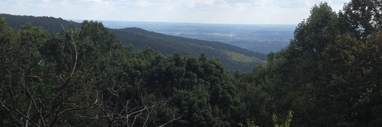 Dr. Julie Schmid banner