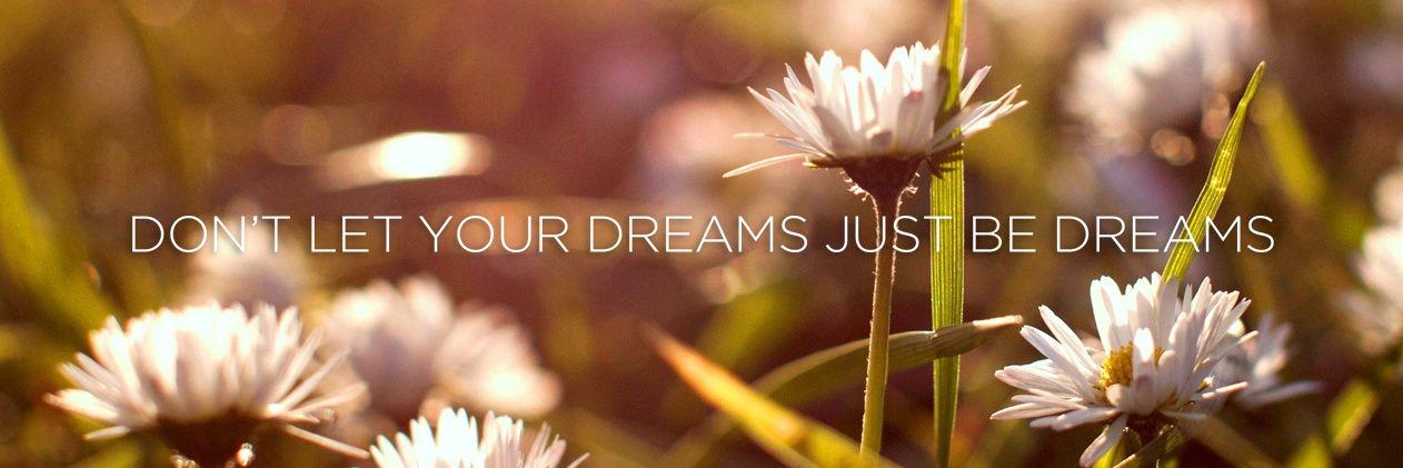 Dreamyypanda's profile banner image