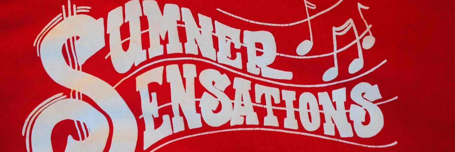 SFSensations's profile banner image