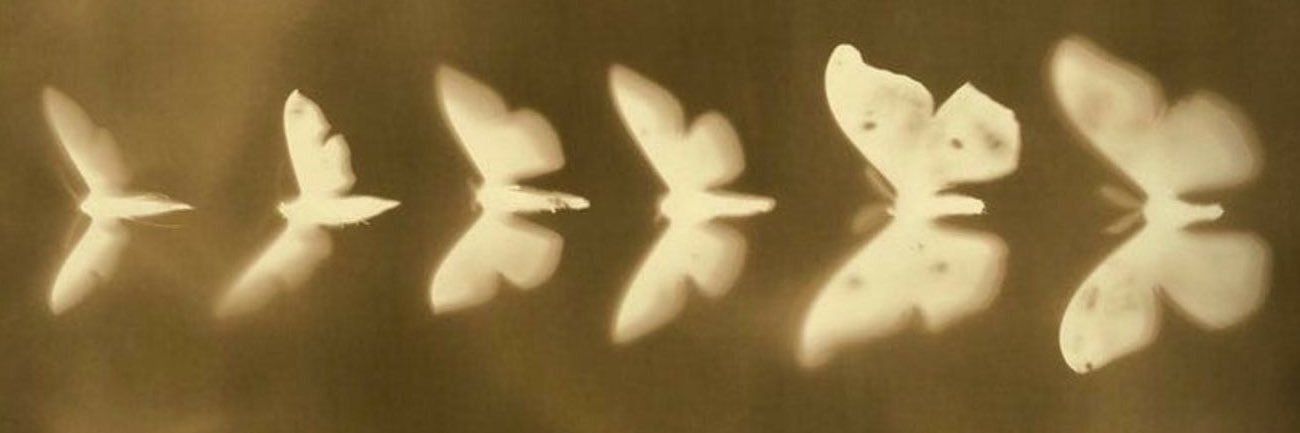 🧚🏻‍♀️ banner